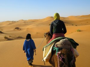 Sahara Camel Ride View