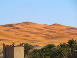 Sand Dunes Sahara