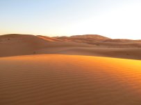 Sunset Sahara