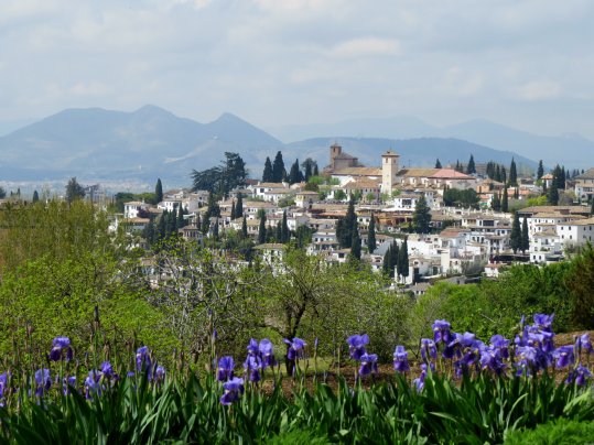 Granada Skyline Flowers